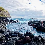 Sea Roots 