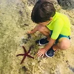 Domek alpejski Sea Roots 