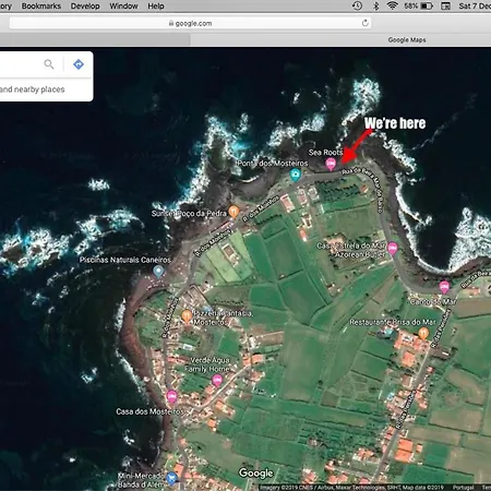 Sea Roots Garden Zone