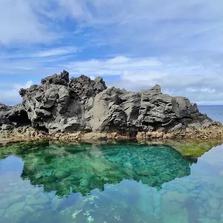 Sea Roots Garden Zone Mosteiros (Azores)
