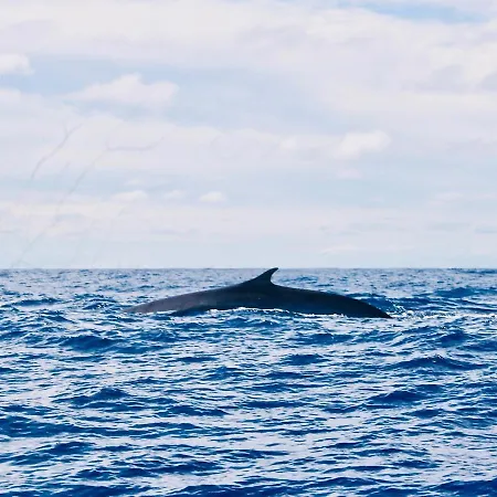 Chalet Sea Roots Garden Zone