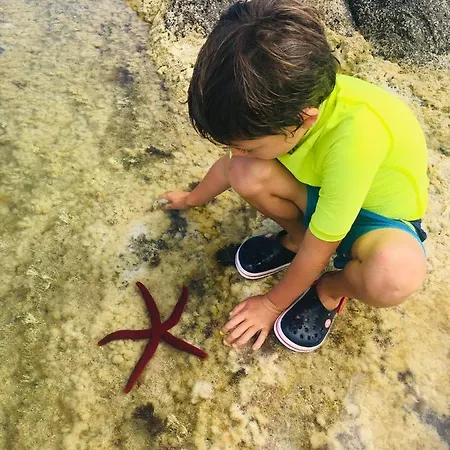 בקתה Sea Roots 