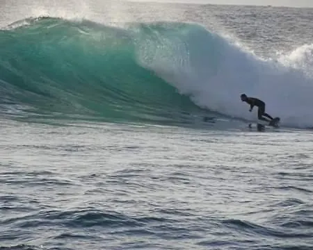 Chalet Sea Roots Garden Zone *