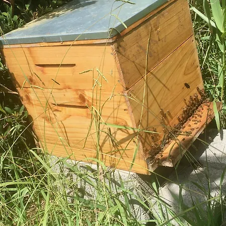 Sea Roots Garden Zone *