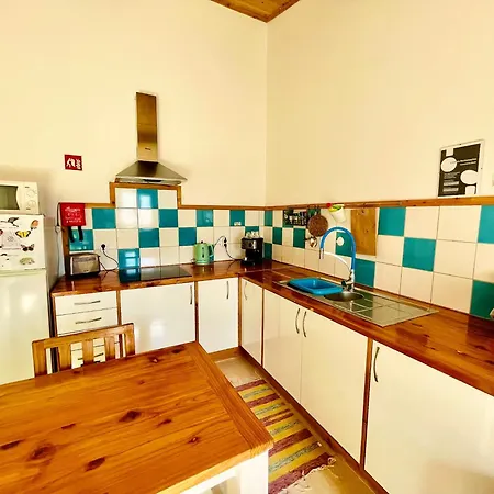 Sea Roots Garden Zone *