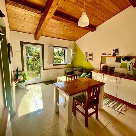 Sea Roots Garden Zone Mosteiros (Azores)